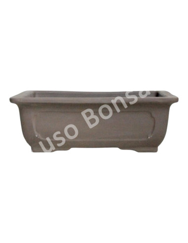 Luso Bonsai l Vase par Bonsai