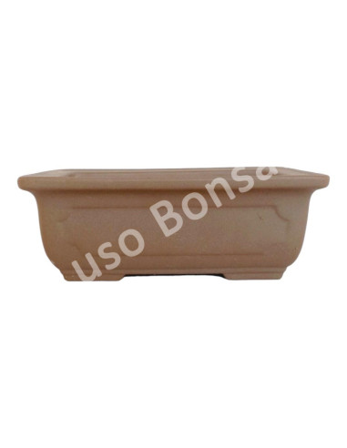 Luso Bonsai l Pot by Bonsa