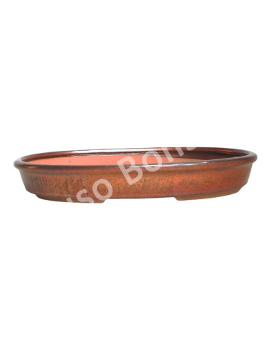 Luso Bonsai l Pot by Bonsai