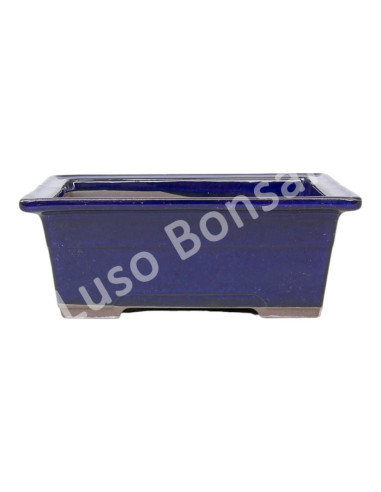 Luso Bonsai l Vaso de Bonsai