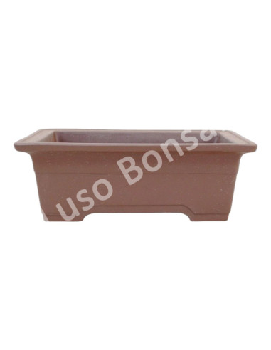 Luso Bonsai l Vaso de Bonsai