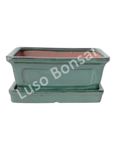 Luso Bonsai l Vaso de Bonsai