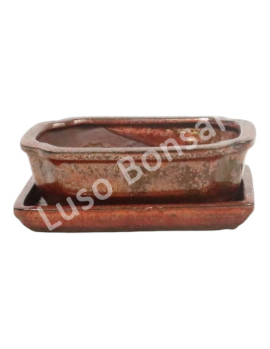 Luso Bonsai l Vase par Bonsai