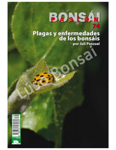 Luso Bonsai | Bonsai Passion -  Plagas y Enfermedades de los Bonsáis