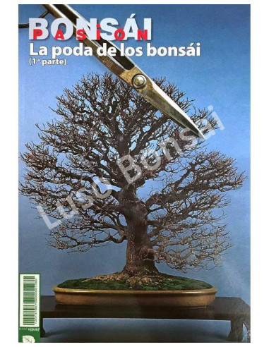 Luso Bonsai | Bonsai Passion - La Poda de los Bonsáis ( 1 part)