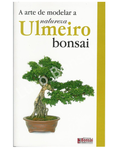 Luso Bonsai | Bonsai - Ulmeiro Guide