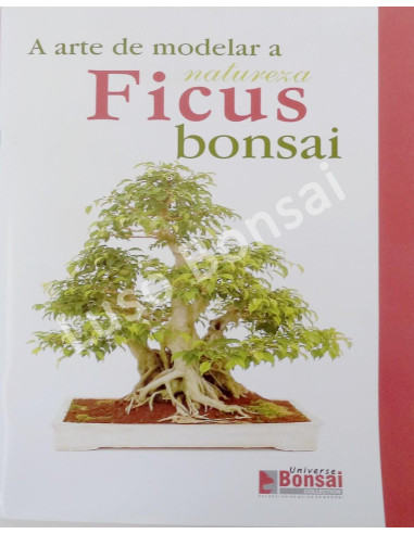 Luso Bonsai | Bonsai - Guia Ficus