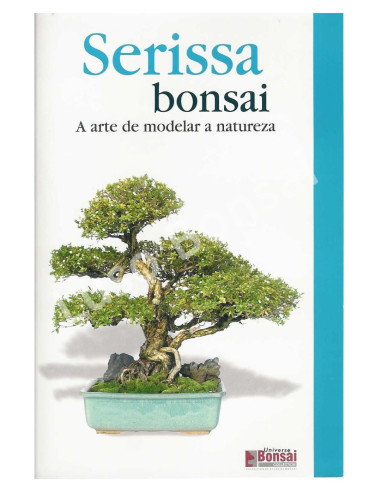 Bonsái luso |Bonsái - Guía Serissa