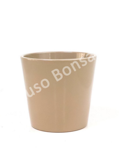 Luso Bonsai l Cachepot para Orquídea ou Ficus Giseng