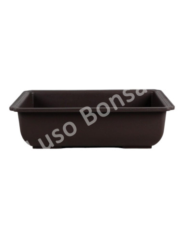 Luso Bonsai l Pot Bonsai Plastic