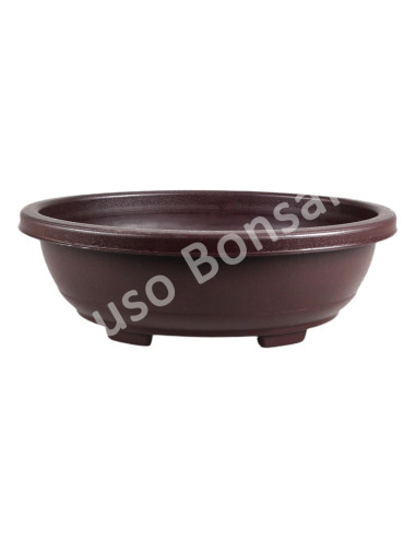 Luso Bonsai l Maceta Bonsai Plastic