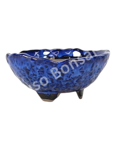 Luso Bonsai l Pot by Bonsai