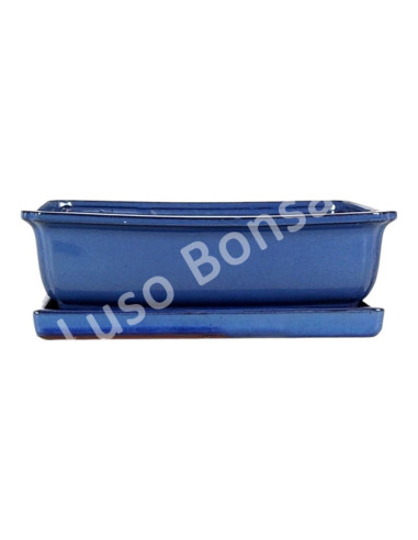 Luso Bonsai l Pot by Bonsai