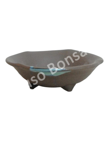 Luso Bonsai l Pot by Bonsai