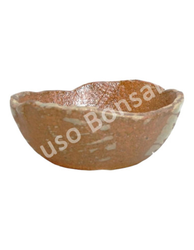 Luso Bonsai l Pot by Bonsai