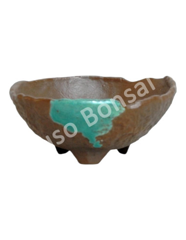 Luso Bonsai l Pot by Bonsai