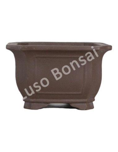 Luso Bonsai l Vaso de Bonsai