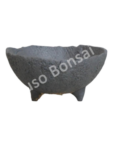 Luso Bonsai l Vase par Bonsai