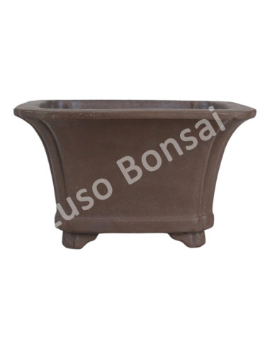 Luso Bonsai l Vaso de Bonsai