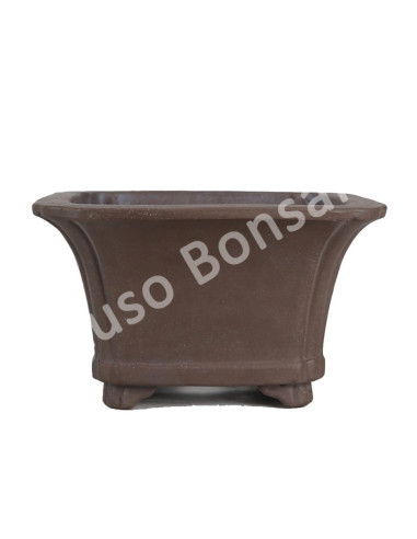 Luso Bonsai l Vaso de Bonsai