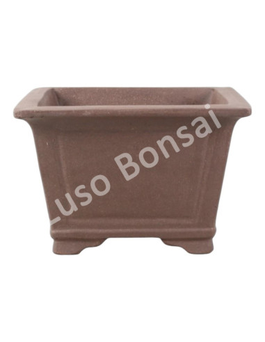 Luso Bonsai l Vase par Bonsai