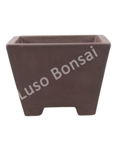 Luso Bonsai l Vase par Bonsai