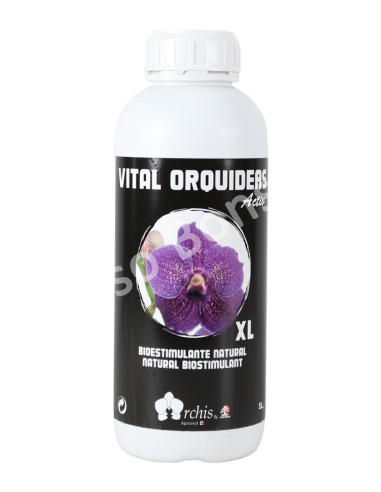 Luso Bonsai | Vital Orchids XL Fortifying 1 Lt