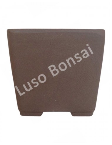 Luso Bonsai l Vaso de Bonsai