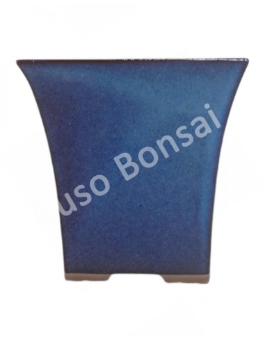 Luso Bonsai l Vaso de Bonsai