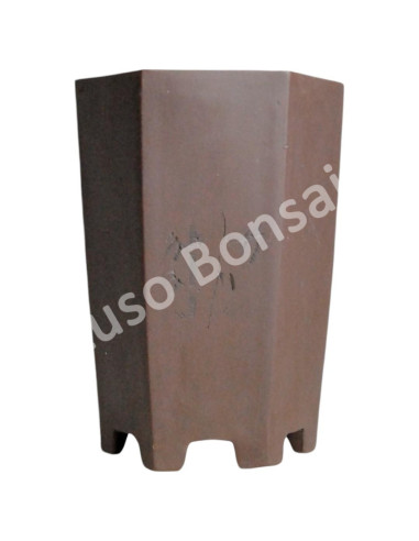 Luso Bonsai l Pot by Bonsai