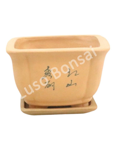 Luso Bonsai l Vaso de Bonsai