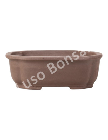 Luso Bonsai l Vaso de Bonsai