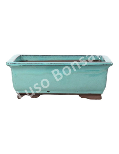 Luso Bonsai l Pot by Bonsai