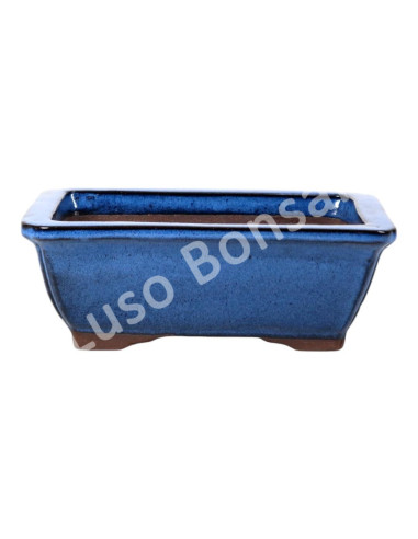 Luso Bonsai l Pot by Bonsai