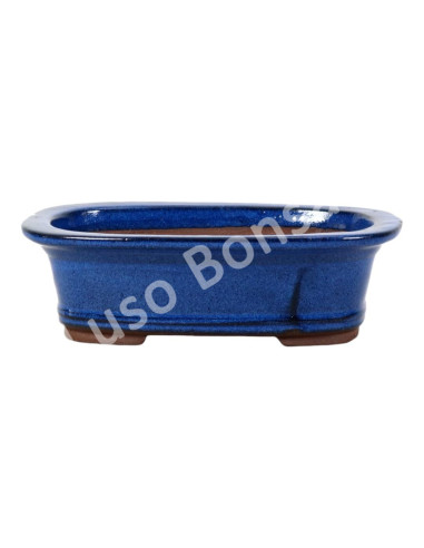 Luso Bonsai l Pot by Bonsai