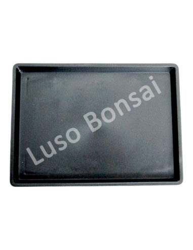 Luso Bonsai l Plat Bonsai Plastic