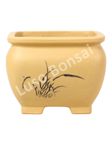 Luso Bonsai l Vase par Bonsai