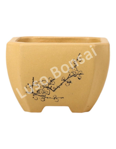 Luso Bonsai l Pot by Bonsai