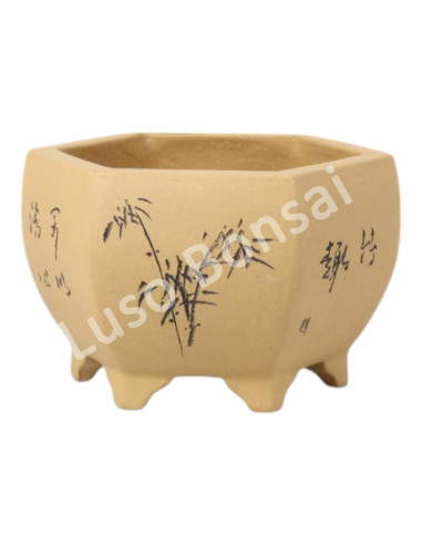 Luso Bonsai l Pot by Bonsai