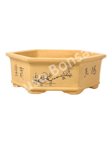 Luso Bonsai l Pot by Bonsai