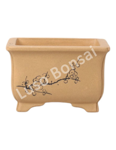 Luso Bonsai l Pot by Bonsai