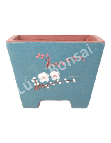 Luso Bonsai l Vase par Bonsai