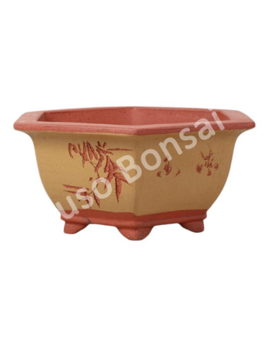 Luso Bonsai l Vase par Bonsai