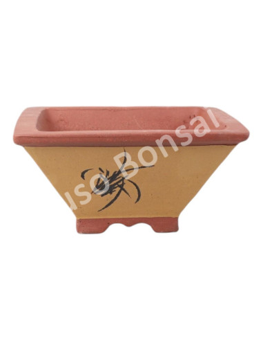 Luso Bonsai l Pot by Bonsai