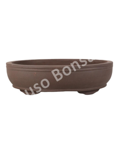 Luso Bonsai l Pot by Bonsai