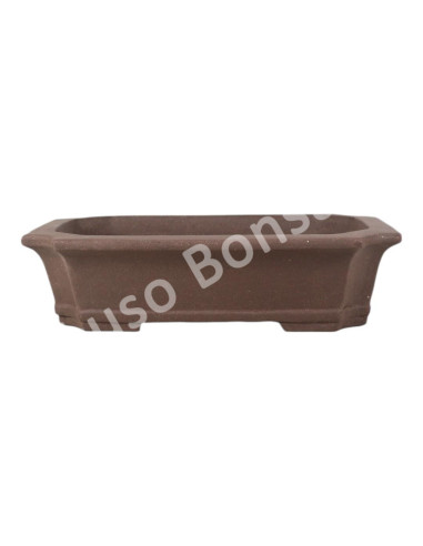 Luso Bonsai l Pot by Bonsai