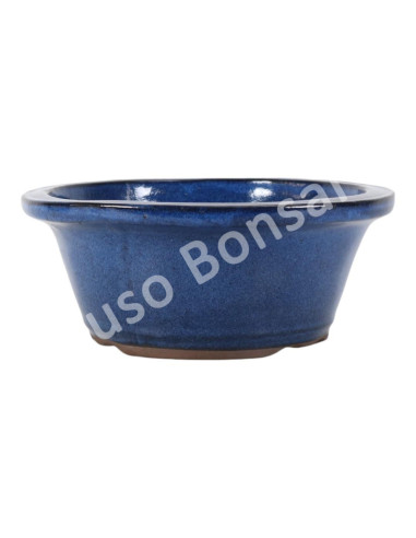 Luso Bonsai l Vaso de Bonsai