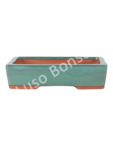 Luso Bonsai l Pot by Bonsai