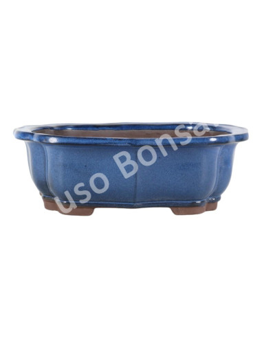 Luso Bonsai l Pot by Bonsai