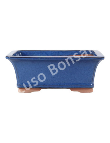 Luso Bonsai l Pot by Bonsai